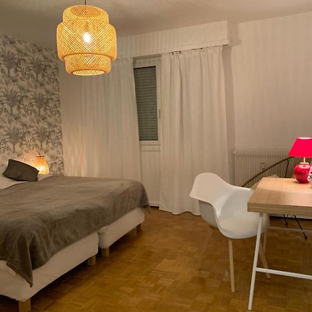 Appartement Centre-Ville Кольмар Екстер'єр фото