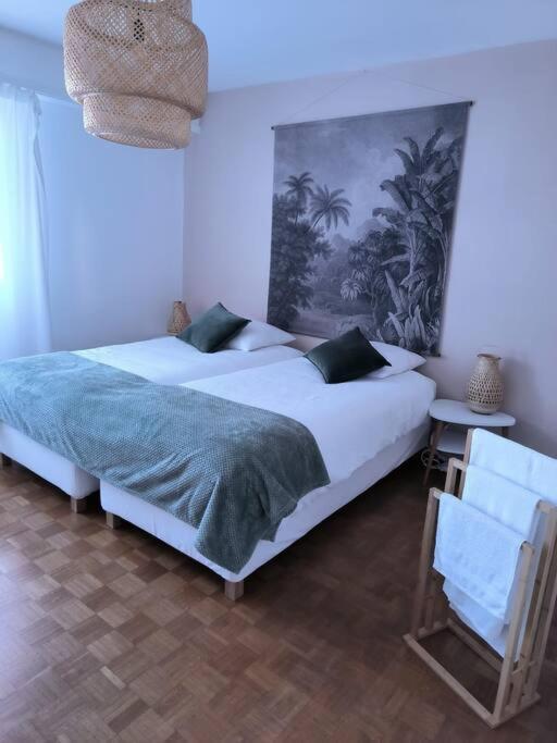 Appartement Centre-Ville Кольмар Екстер'єр фото