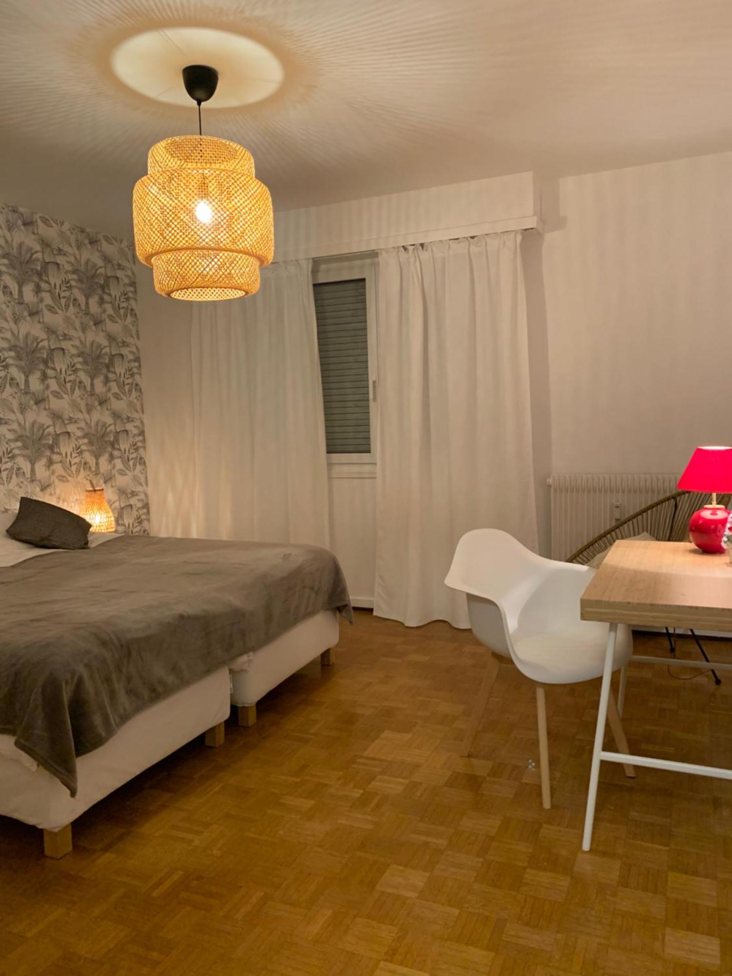 Appartement Centre-Ville Кольмар Екстер'єр фото